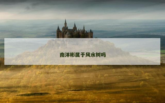 南洋彬属于风水树吗