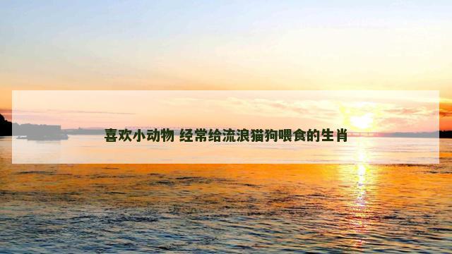喜欢小动物 经常给流浪猫狗喂食的生肖