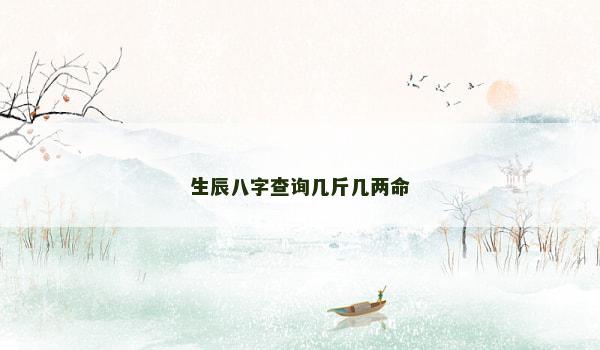 生辰八字查询几斤几两命