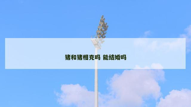 猪和猪相克吗 能结婚吗