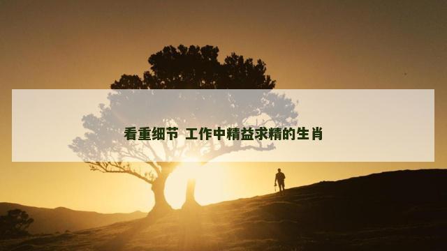 看重细节 工作中精益求精的生肖