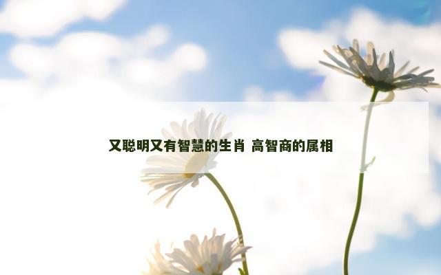 又聪明又有智慧的生肖 高智商的属相