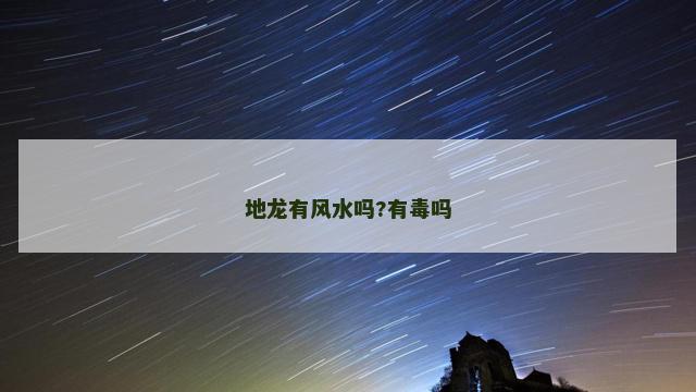 地龙有风水吗?有毒吗