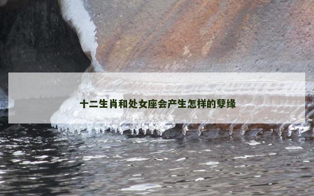 十二生肖和处女座会产生怎样的孽缘
