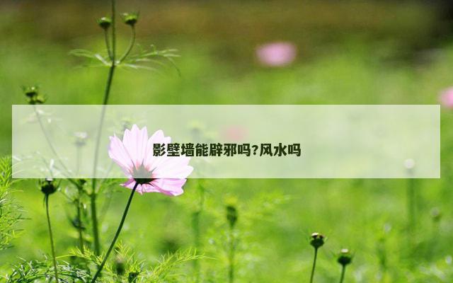 影壁墙能辟邪吗?风水吗