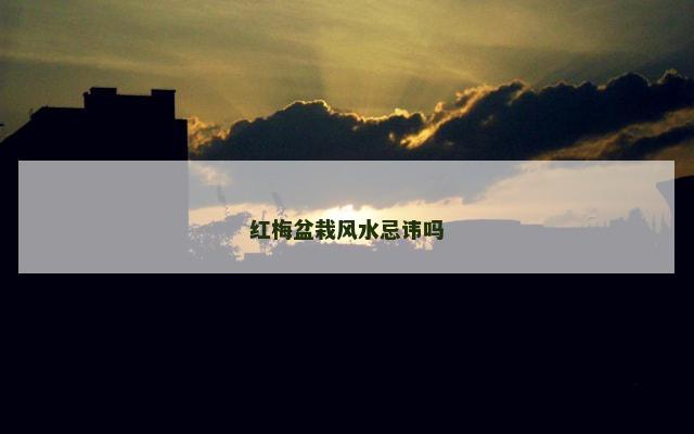 红梅盆栽风水忌讳吗