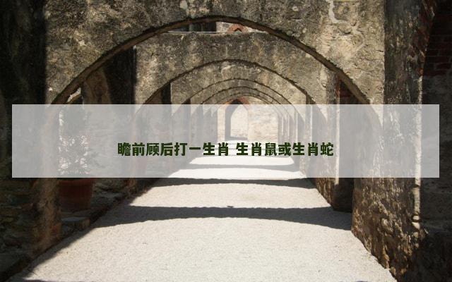 瞻前顾后打一生肖 生肖鼠或生肖蛇