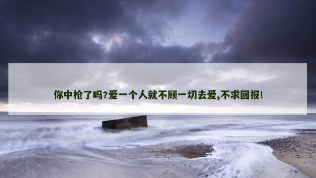 你中枪了吗?爱一个人就不顾一切去爱,不求回报!
