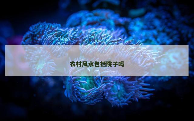农村风水包括院子吗