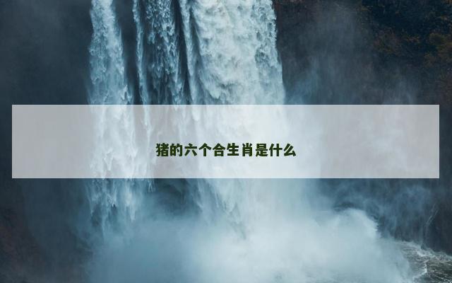 猪的六个合生肖是什么