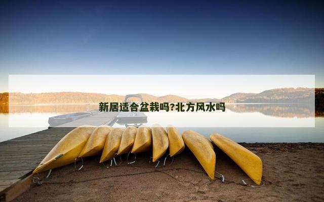 新居适合盆栽吗?北方风水吗