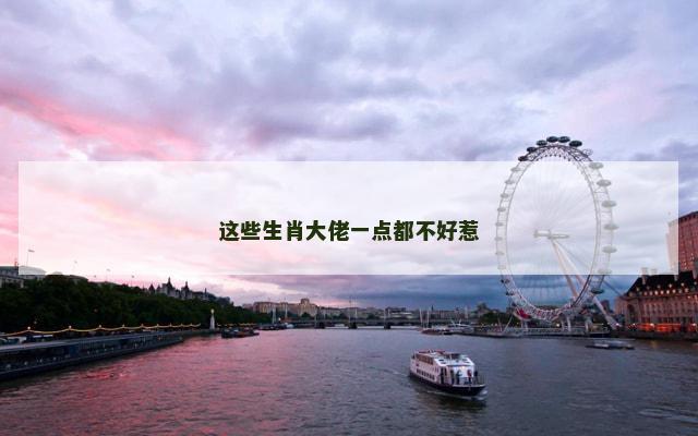 这些生肖大佬一点都不好惹