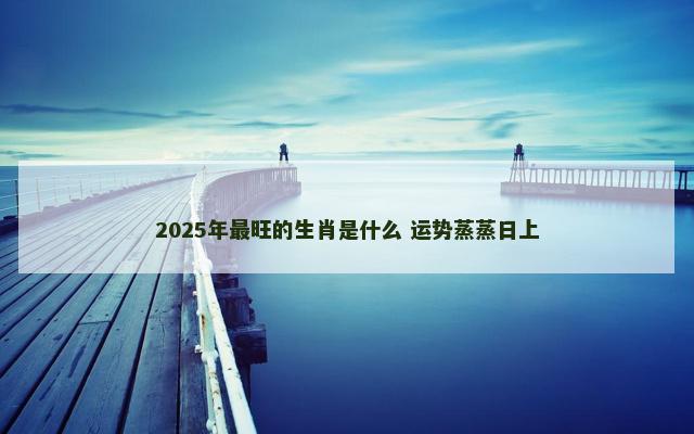 2025年最旺的生肖是什么 运势蒸蒸日上