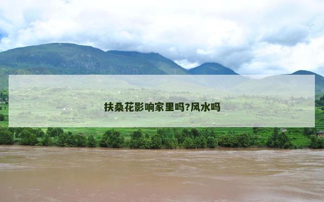 扶桑花影响家里吗?风水吗