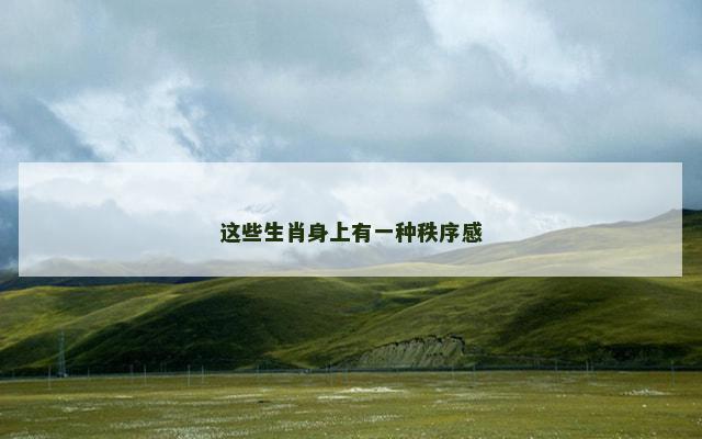 这些生肖身上有一种秩序感