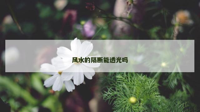 风水的隔断能透光吗