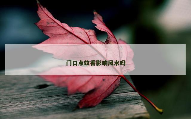 门口点蚊香影响风水吗