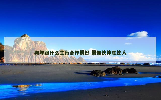 狗年跟什么生肖合作最好 最佳伙伴属蛇人