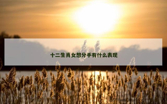 十二生肖女想分手有什么表现