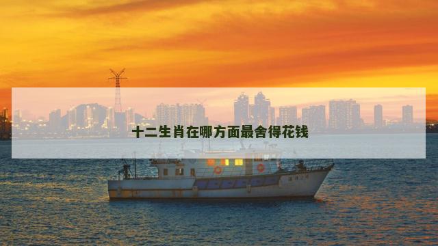 十二生肖在哪方面最舍得花钱