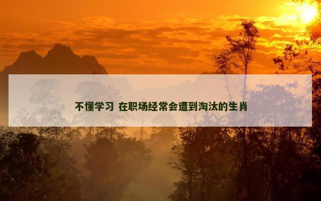 不懂学习 在职场经常会遭到淘汰的生肖