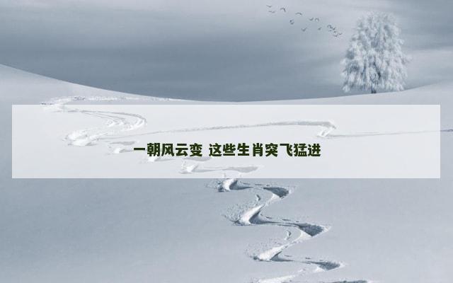 一朝风云变 这些生肖突飞猛进