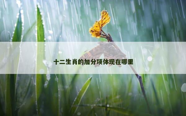 十二生肖的加分项体现在哪里
