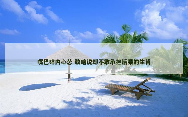 嘴巴碎内心怂 敢瞎说却不敢承担后果的生肖