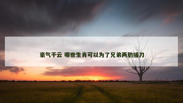 豪气干云 哪些生肖可以为了兄弟两肋插刀