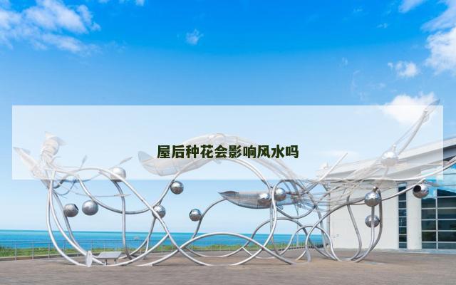 屋后种花会影响风水吗