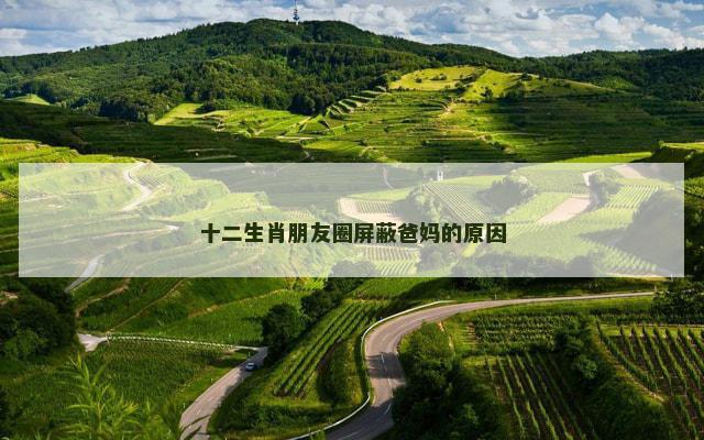 十二生肖朋友圈屏蔽爸妈的原因