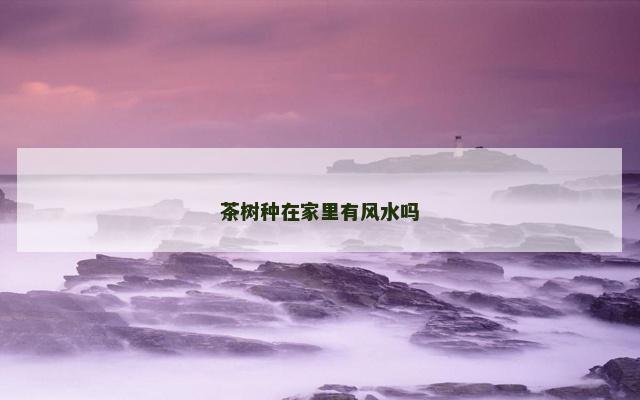 茶树种在家里有风水吗