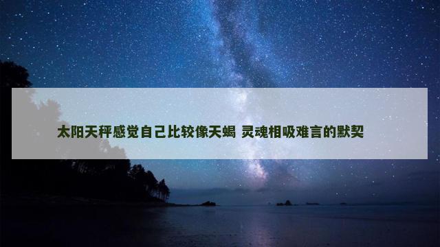 太阳天秤感觉自己比较像天蝎 灵魂相吸难言的默契 　　