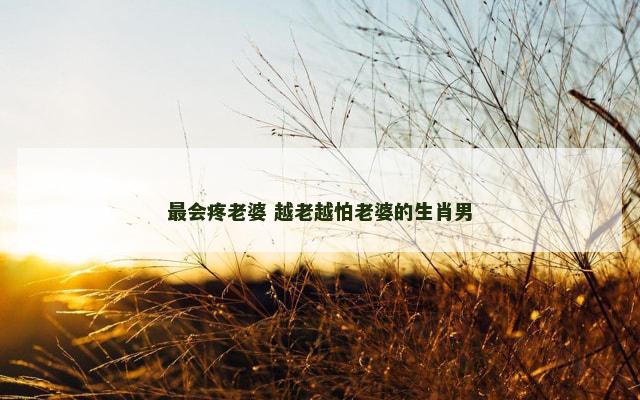 最会疼老婆 越老越怕老婆的生肖男