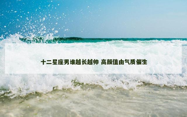 十二星座男谁越长越帅 高颜值由气质催生