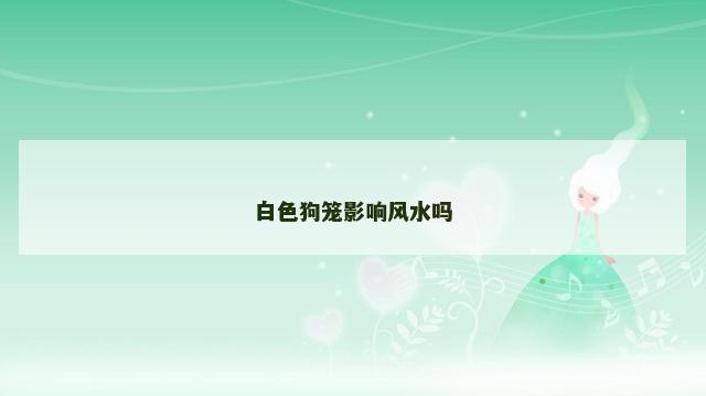 白色狗笼影响风水吗