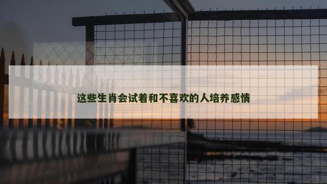 这些生肖会试着和不喜欢的人培养感情