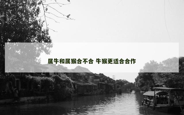 属牛和属猴合不合 牛猴更适合合作