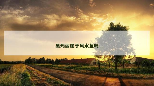 黑玛丽属于风水鱼吗