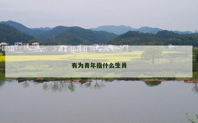 有为青年指什么生肖