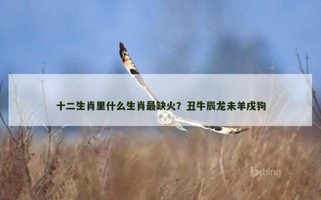 十二生肖里什么生肖最缺火？丑牛辰龙未羊戌狗