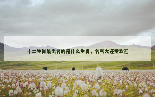 十二生肖最出名的是什么生肖，名气大还受欢迎