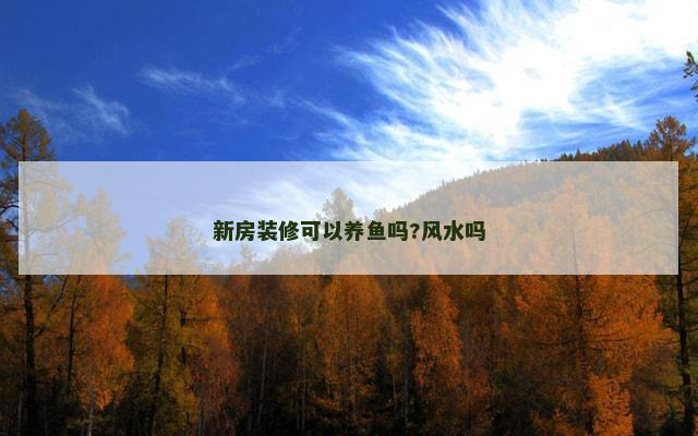 新房装修可以养鱼吗?风水吗