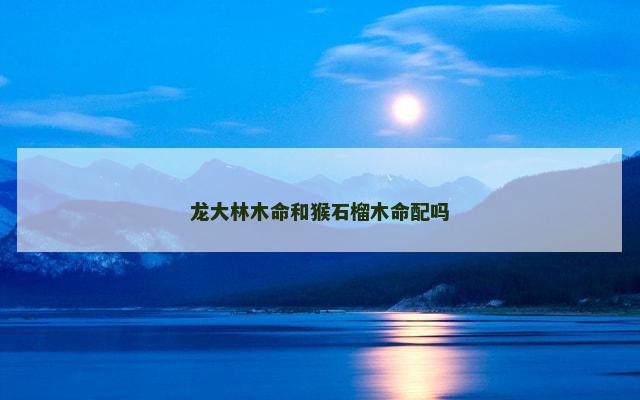 龙大林木命和猴石榴木命配吗