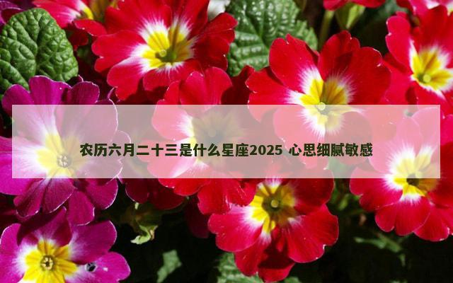 农历六月二十三是什么星座2025 心思细腻敏感