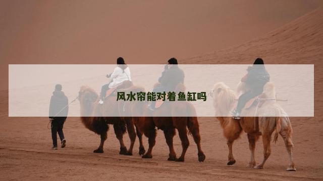 风水帘能对着鱼缸吗
