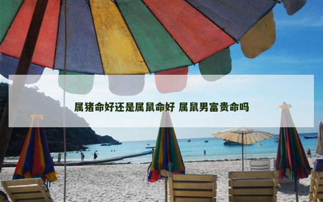 属猪命好还是属鼠命好 属鼠男富贵命吗