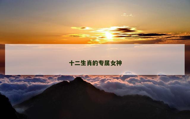 十二生肖的专属女神