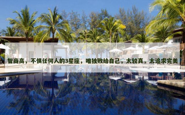 智商高，不惧任何人的3星座，唯独败给自己，太较真，太追求完美