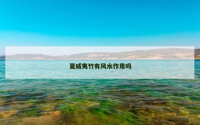 夏威夷竹有风水作用吗
